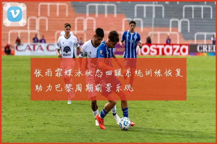 张雨霏蝶泳状态回暖系统训练恢复助力巴黎周期前景乐观